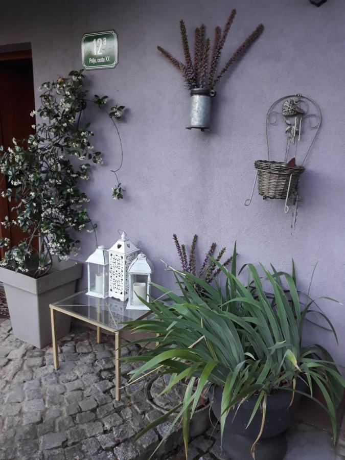 Art Room With Outdoor Living Ljubljana Luaran gambar