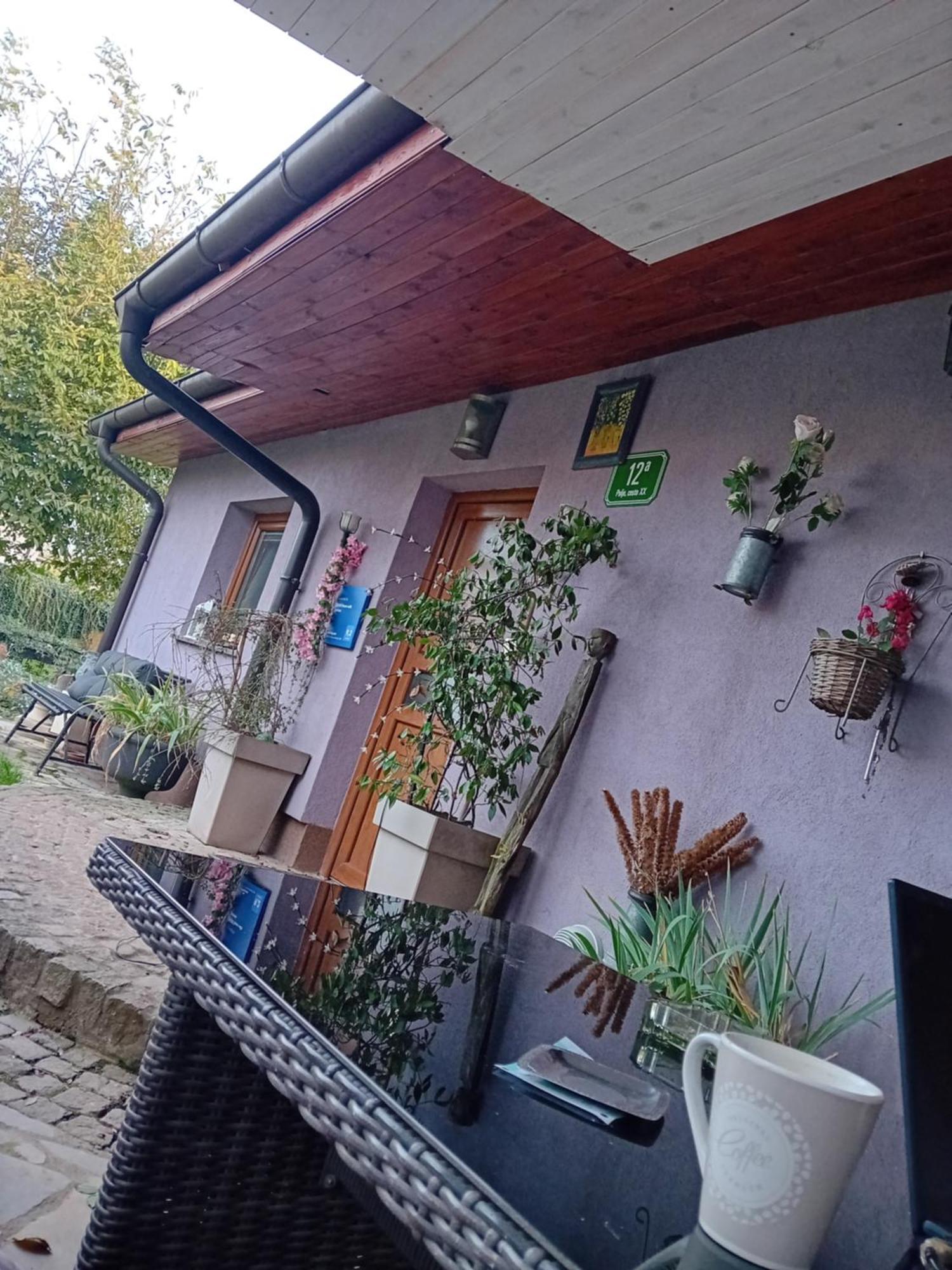 Art Room With Outdoor Living Ljubljana Luaran gambar